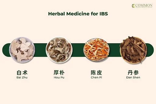 ibs irritable bowel syndrome　輸入盤　サイン入り Irritable bowel syndrome IBS signs, an Object Graphic by DG